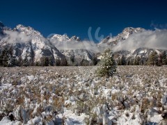 WYOMING Grand Teton National Park